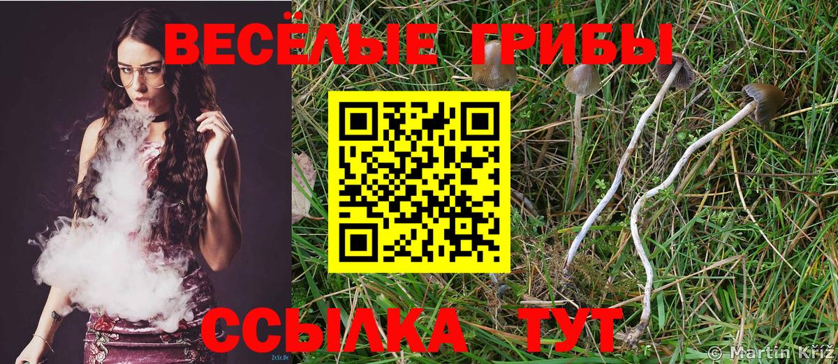 Галлюциногенные грибы ЛСД Бугульма